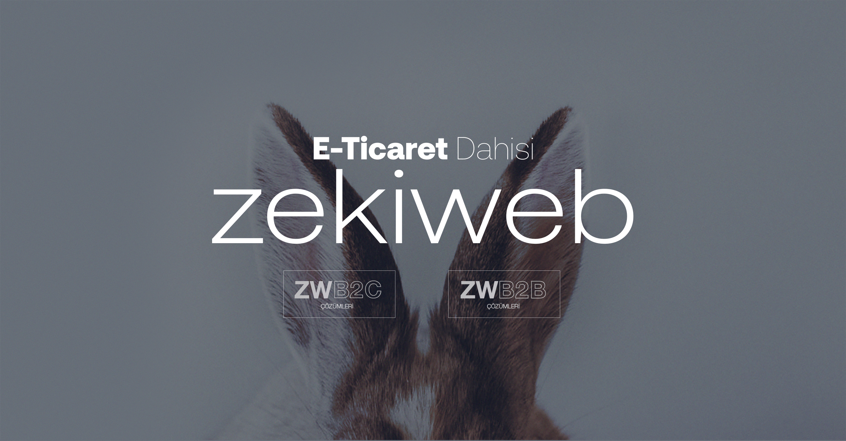 Zekiweb