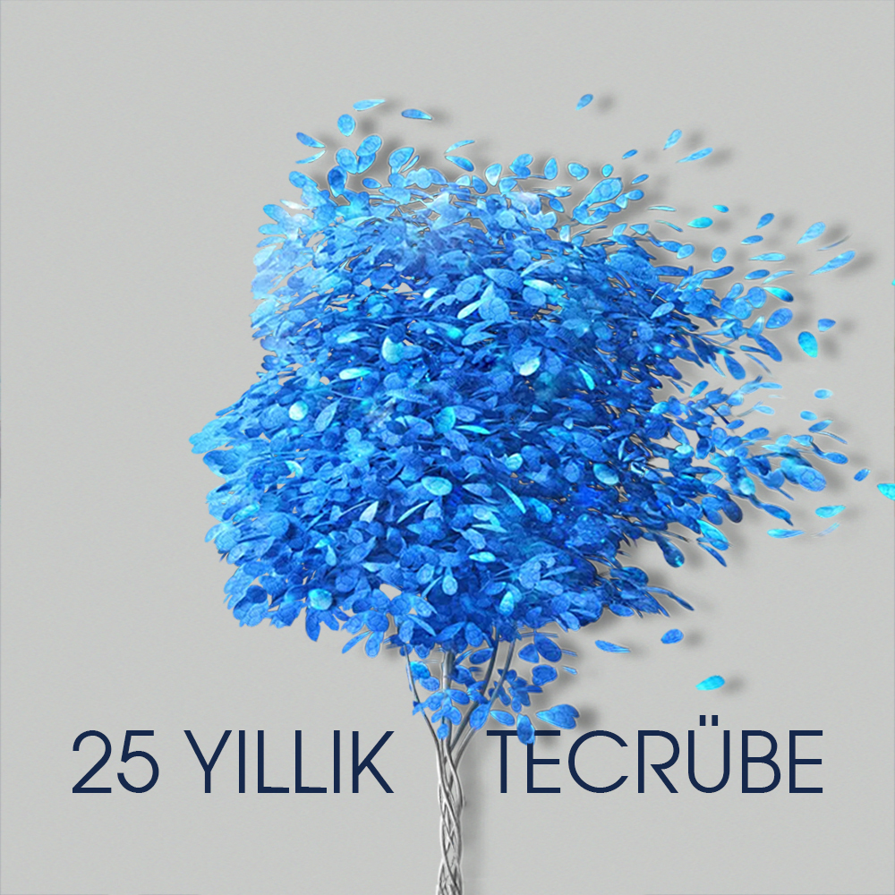 25 Yıllık Tecrübe
