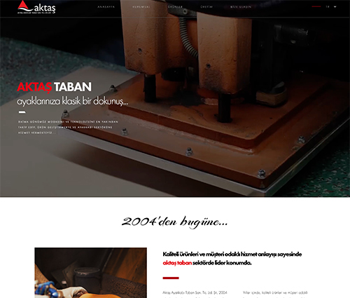 Tasarım & Kodlama & E-Ticaret & Dijital Strateji & Sosyal Medya & SEO